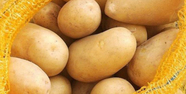 منع دخول 100 طن من البطاطا المحلية ‎للسوق المركزي