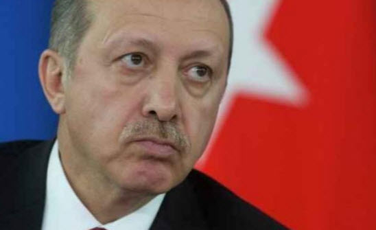 أردوغان: تركيا بحاجة الى دول الخليج لتحقيق الاستقرار في المنطقة