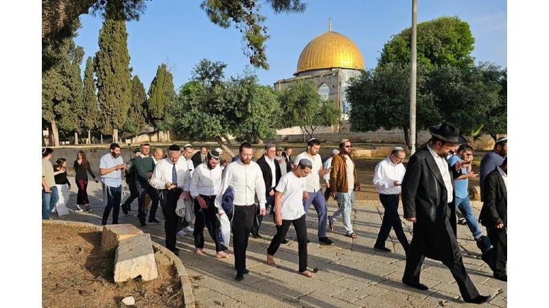 عشرات المستوطنين يؤدون “السجود الملحمي” في باحات الأقصى