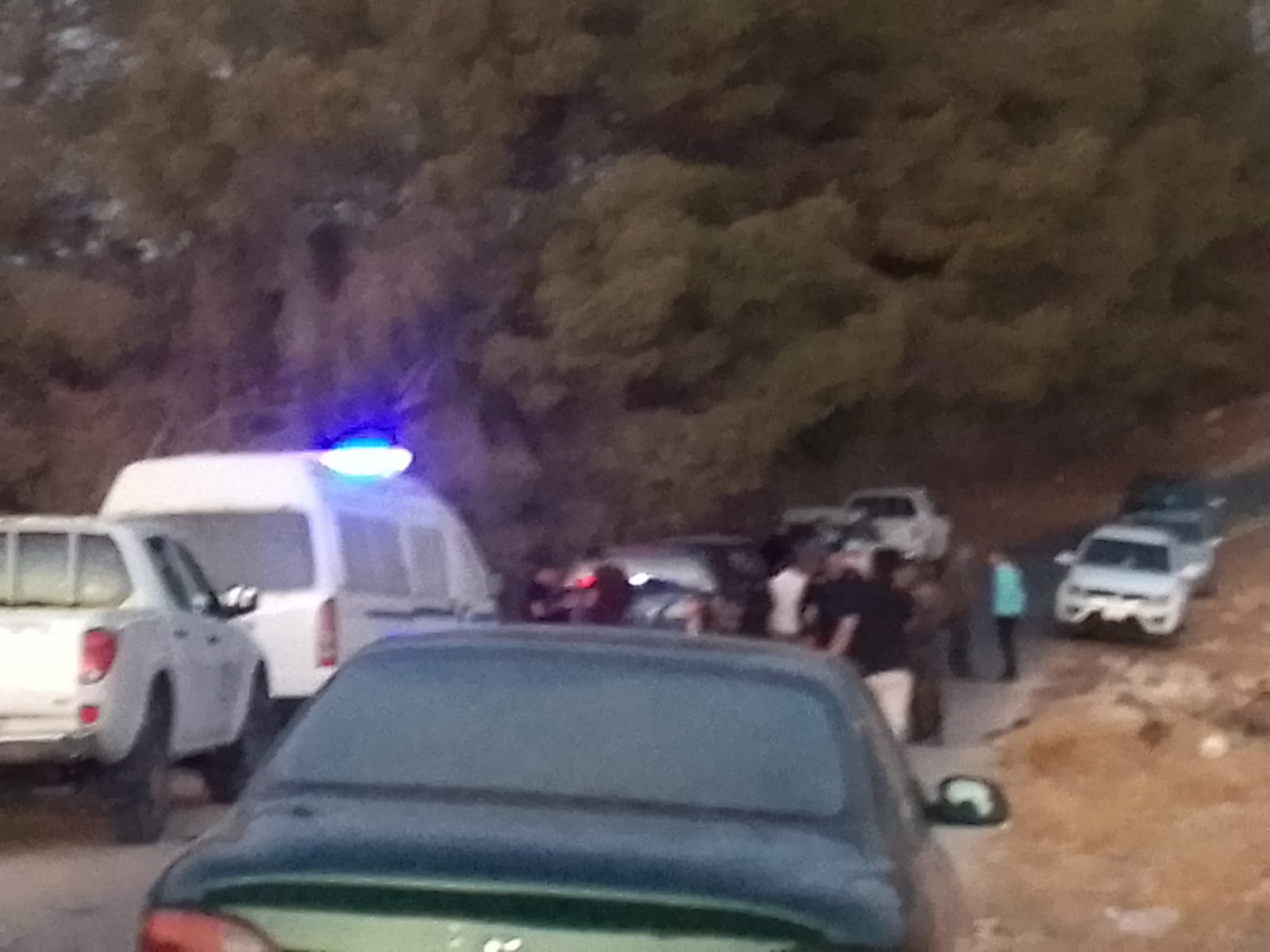 العثور على جثة رضيع ملقاة بين الأشجار في ماعين