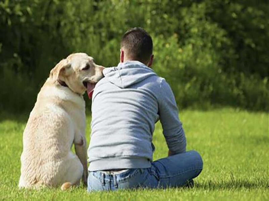 دراسة: الكلاب تفهم كلام البشر أكثر مما نظن