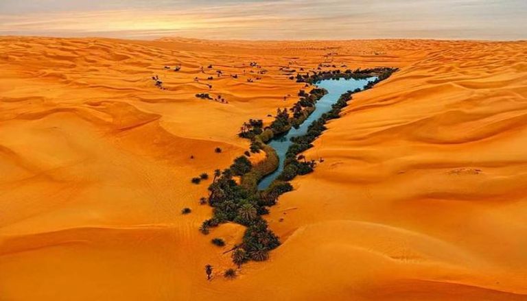 اكتشاف سلالة بشرية عمرها 50 ألف عام في الصحراء الكبرى الخضراء