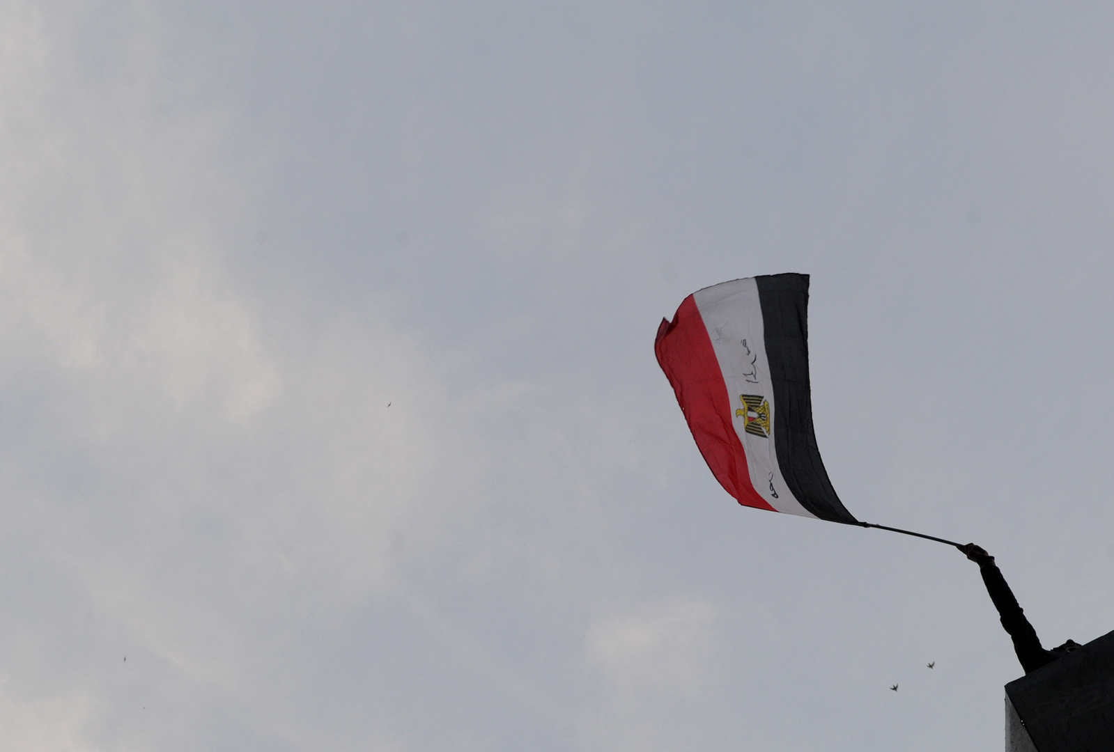 مصر تصدر قرارات بشأن رد وسحب وتجنيس جنسية مصريين مقيمين بالخارج