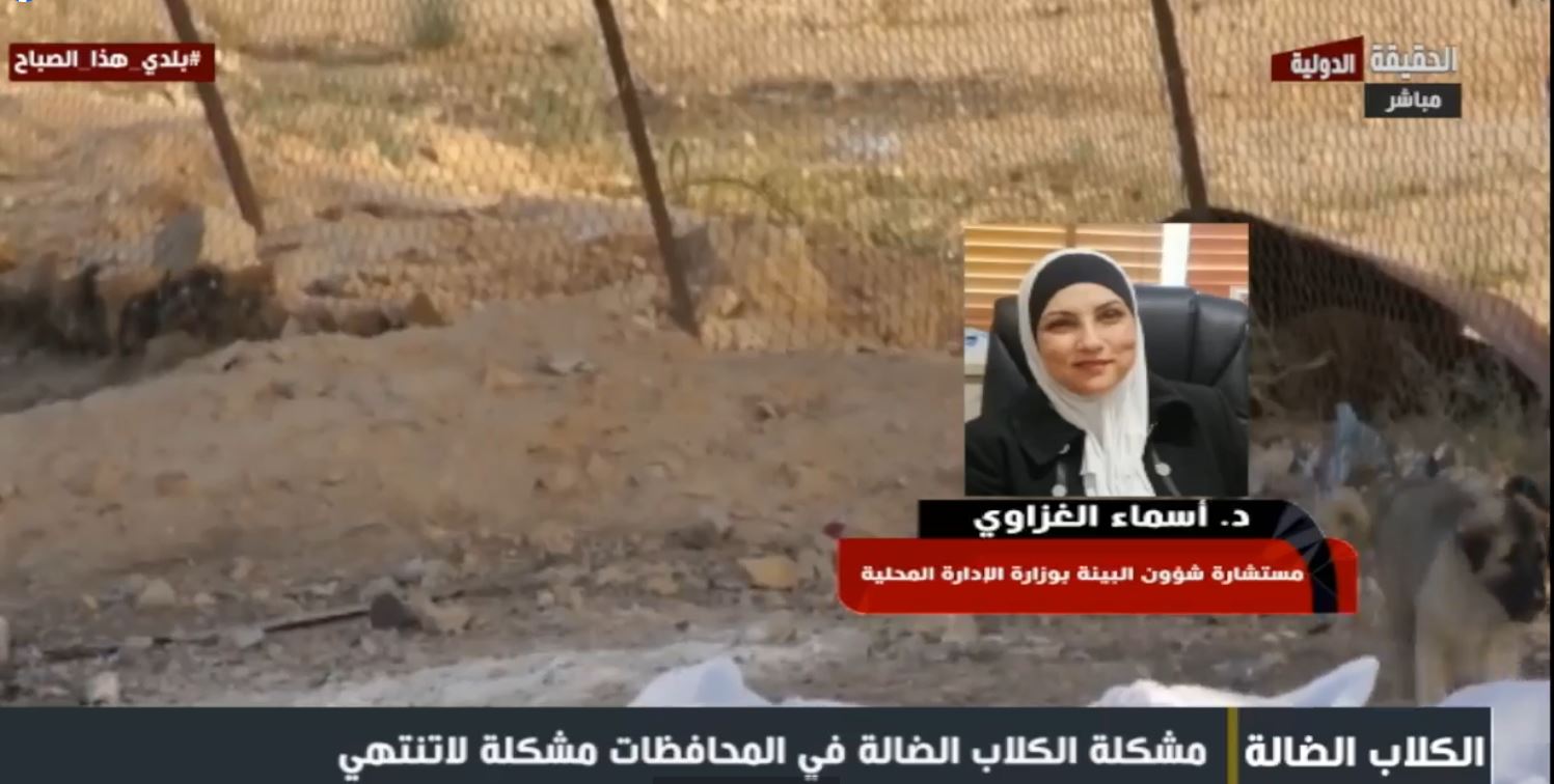 6 بلديات تستجيب لنداء الإدارة المحلية لمواجهة خطر الكلاب الضالة.. فيديو