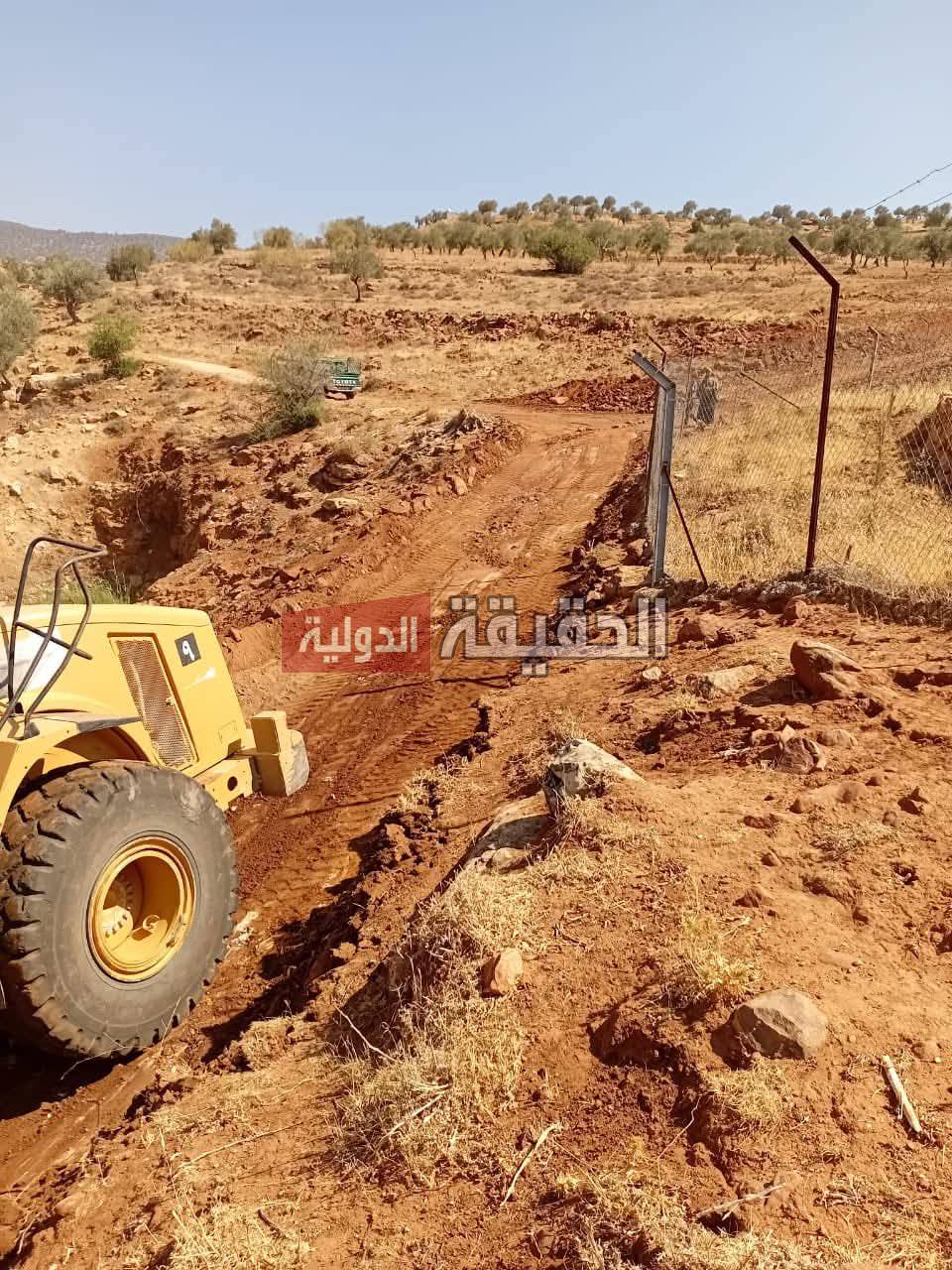 فتح "خطوط نار" داخل غابات جرش - صور