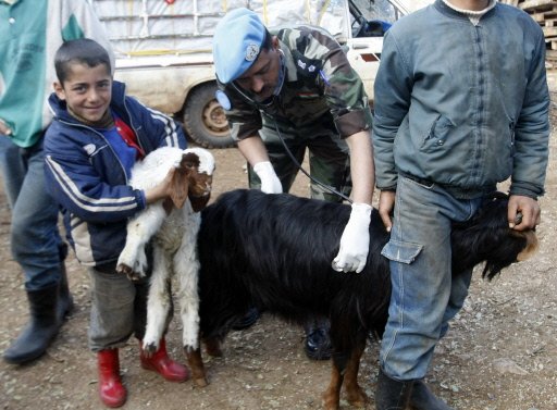 وكالة الأنباء الروسية: (أنفلونزا الماعز) وباء جديد يهدد البشرية!!