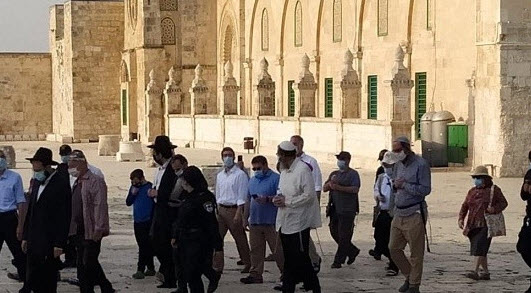 عشرات المستوطنين بقيادة الإرهابي "غليك" يقتحمون الأقصى