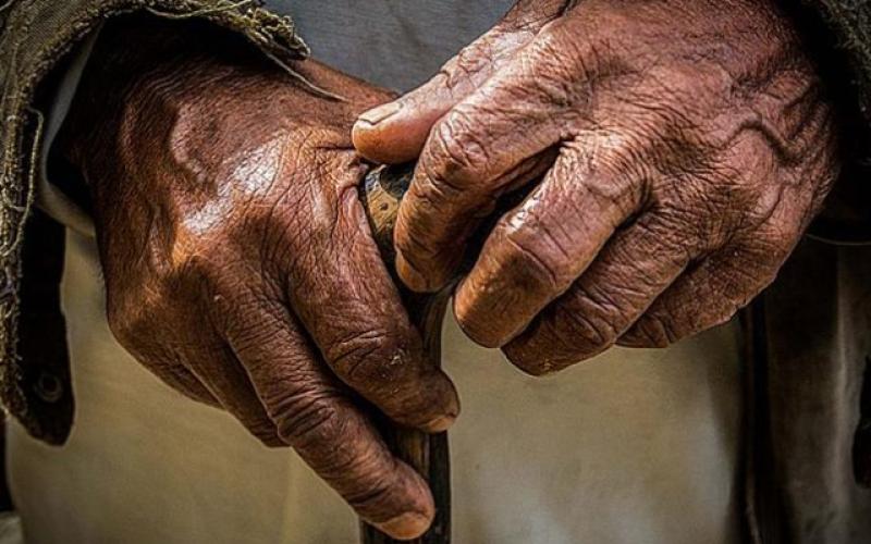 الفينيق يدعو إلى تحسين الخدمات الصحية والاجتماعية لكبار السن في الأردن
