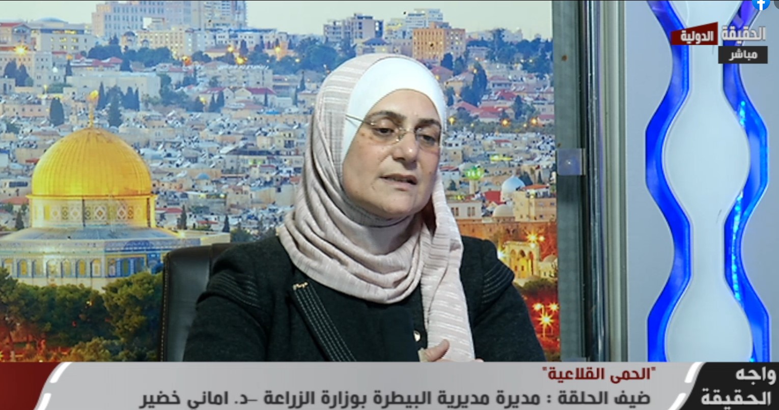 وزارة الزراعة: الحمى القلاعية عابر للحدود وسريع الانتشار - فيديو