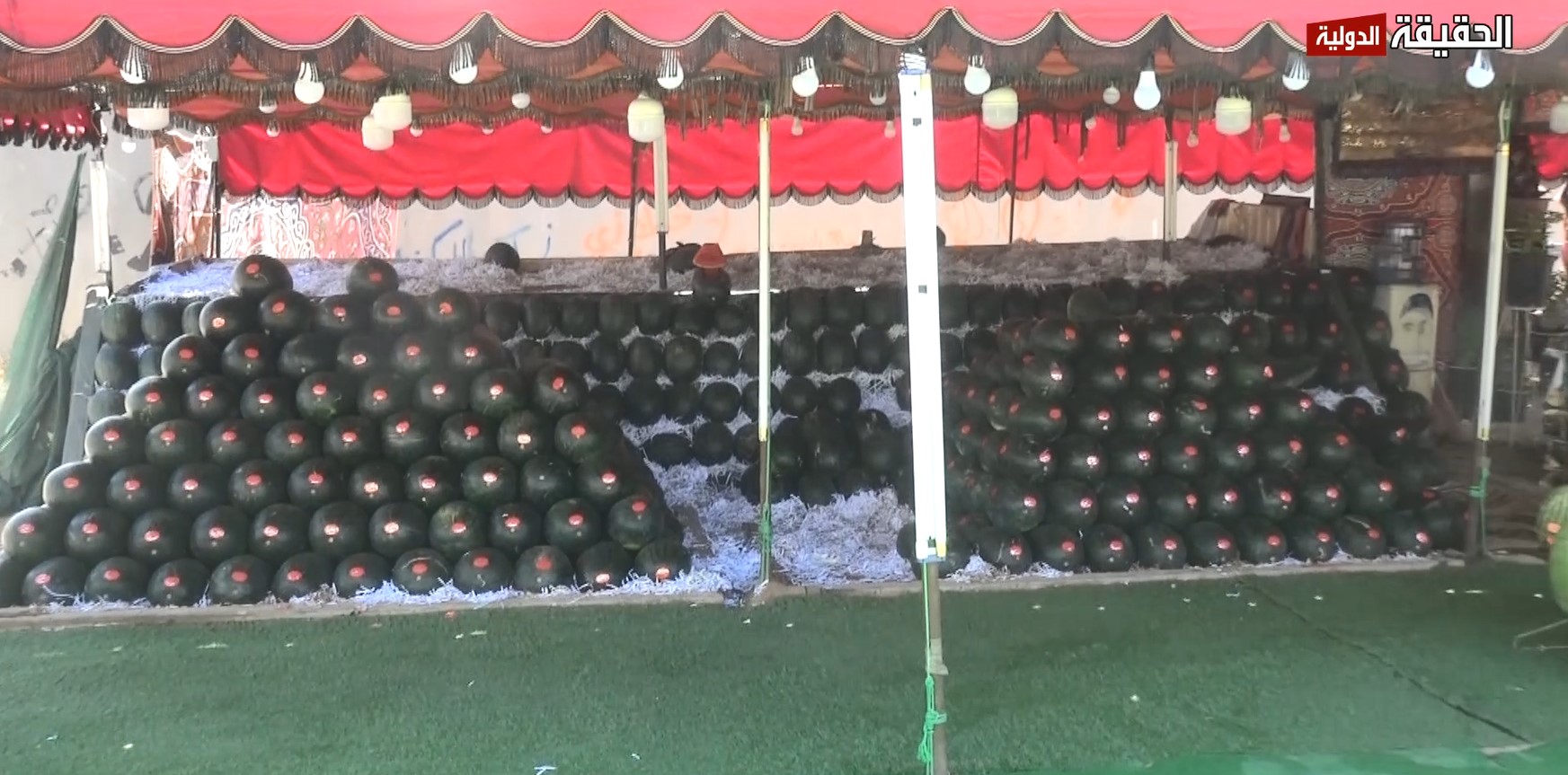احمر ام ابيض.. خبراء يطرحون تجاربهم في اختيار جودة البطيخ.. تقرير تلفزيوني