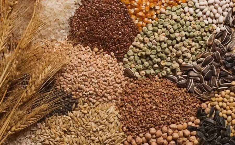 صدور نظام مجلس الأمن الغذائي في الجريدة الرسمية