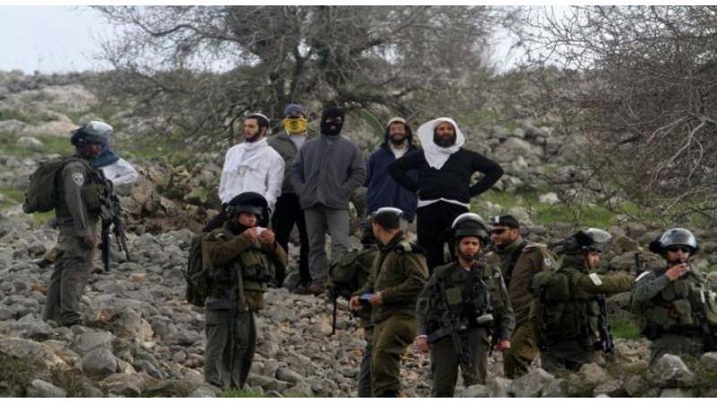 923 اعتداء للاحتلال ومستوطنيه على الفلسطينيين الشهر الماضي
