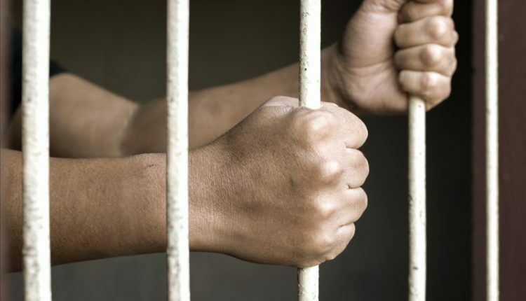 توقيف مزارعين أسبوعا لرشهما مبيدات حشرية تسببت بتسمم طالبات