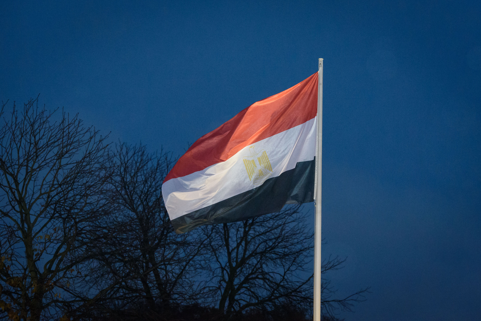 مصر تعلن عن "مشروع القرن"