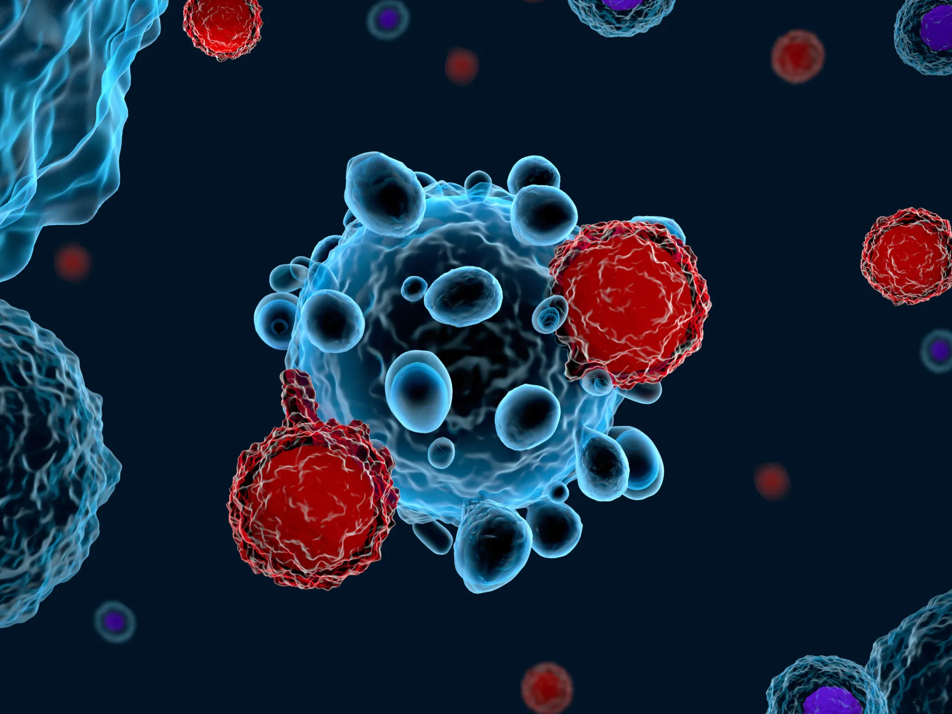 دراسة أميركية: نوع من خلايا المناعة قد يكافح أمراض الشيخوخة