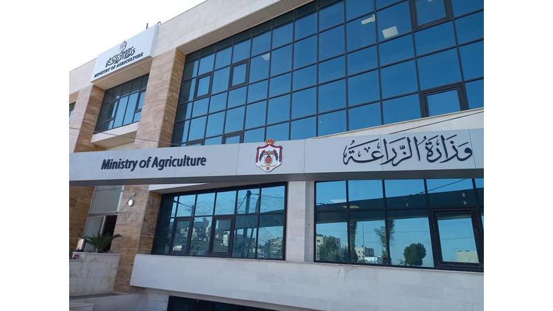 وزارة الزراعة تمدد فترة استقبال طلبات شهادات إنتاج الحبوب