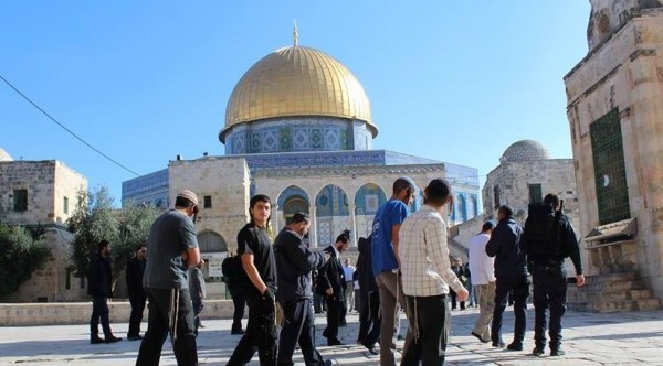 الأردن يدين اقتحام أعضاء من الكنيست للمسجد الأقصى
