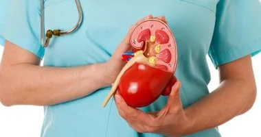 أطعمة تزيد تكوّن حصى الكلى.. تجنبها لمنع تكرار الإصابة