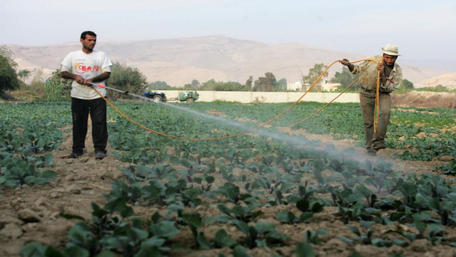 مشاريع الحصاد المائي في جرش تخفف من نقص التزويد