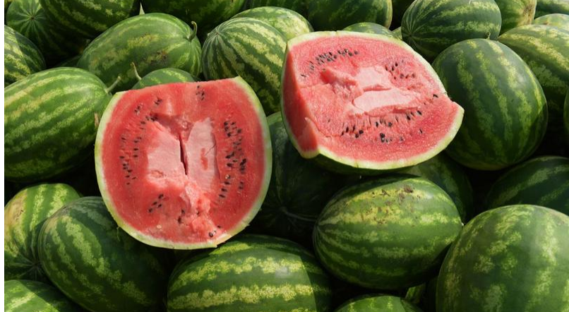 مكافحة الأوبئة: لا علاقة للبطيخ بأعراض فيروس "الروتا المعوي" المنتشر مؤخرا