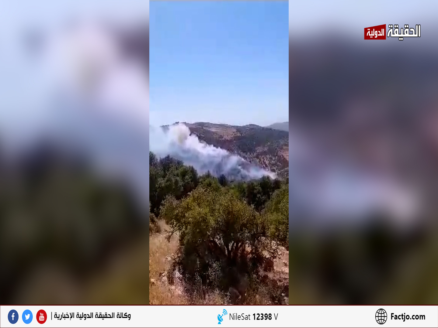 حريق يأتي على أشجار حرجيه في منطقة الصفصافه ووادي الشام بجرش - فيديو